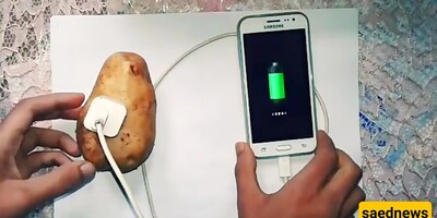 Can A Potato Charge Your Phone?