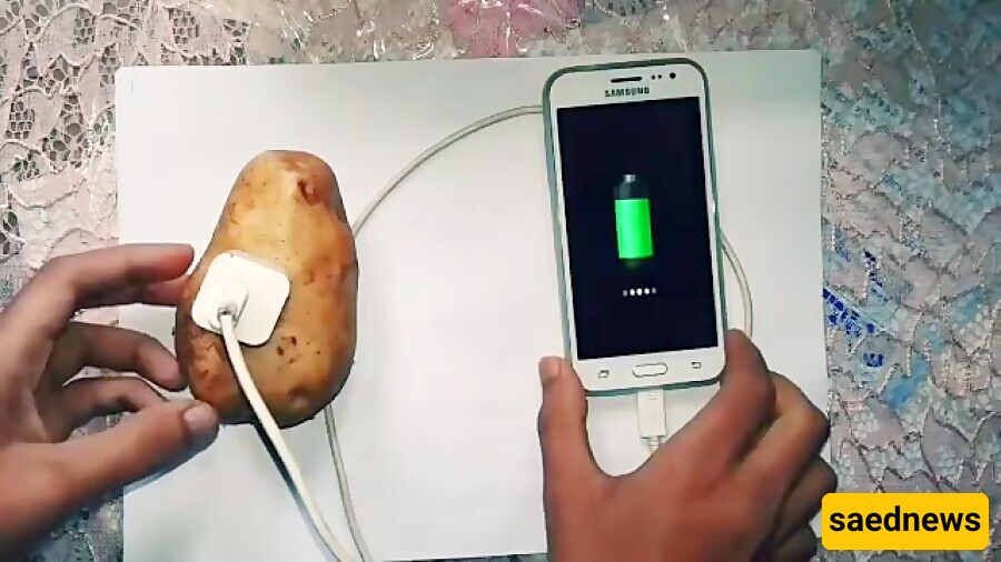 Can A Potato Charge Your Phone?