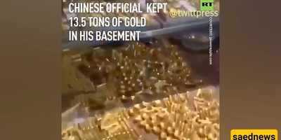 13.5 Tons of Gold, 23 Tons of Cash, and Dozens of Luxury Cars Discovered in Former Mayor’s Basement