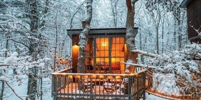 A Paradise Among the Dense Trees: Introducing 5 Amazing Treehouses in Iran.