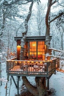 A Paradise Among the Dense Trees: Introducing 5 Amazing Treehouses in Iran.