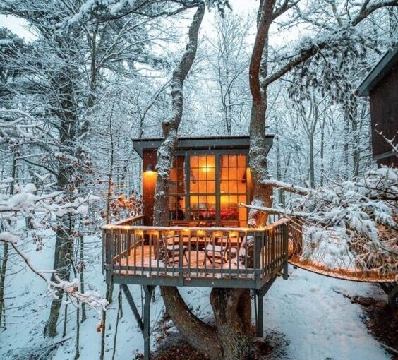 A Paradise Among the Dense Trees: Introducing 5 Amazing Treehouses in Iran.