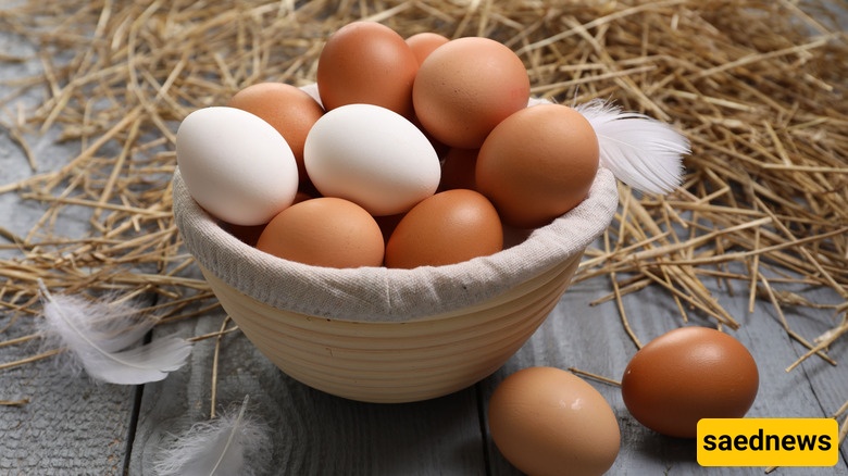 eggs