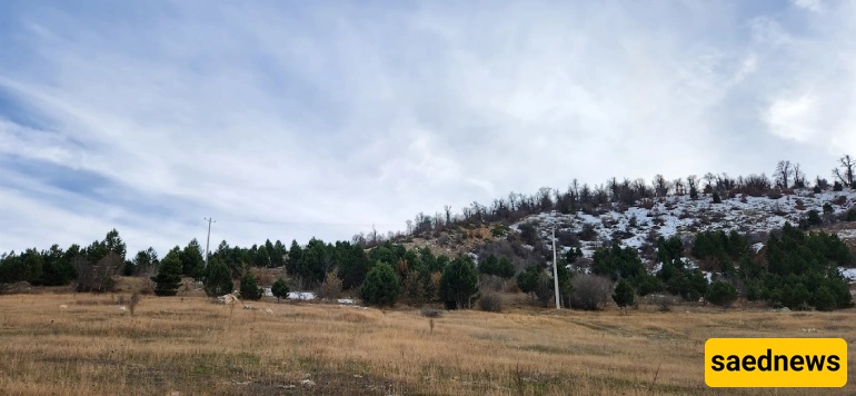 Drazno village