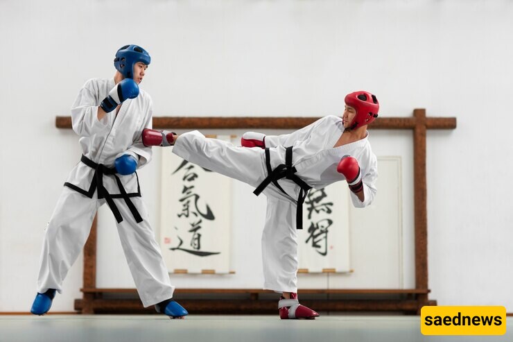 What Are the Differences Between Karate and Taekwondo?