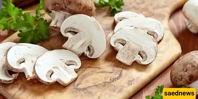 Long-Term Storage of Mushrooms in the Refrigerator and Freezer: Step-by-Step Guide and Tips