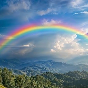 The Fascinating Reason Why Rainbows Appear as Arcs and Curves