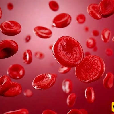 Long-Term Changes in Human Blood Chemistry Linked to Rising CO₂ Levels