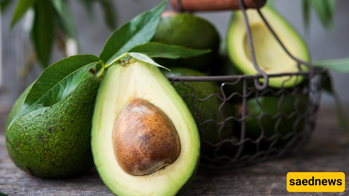  avocado seed