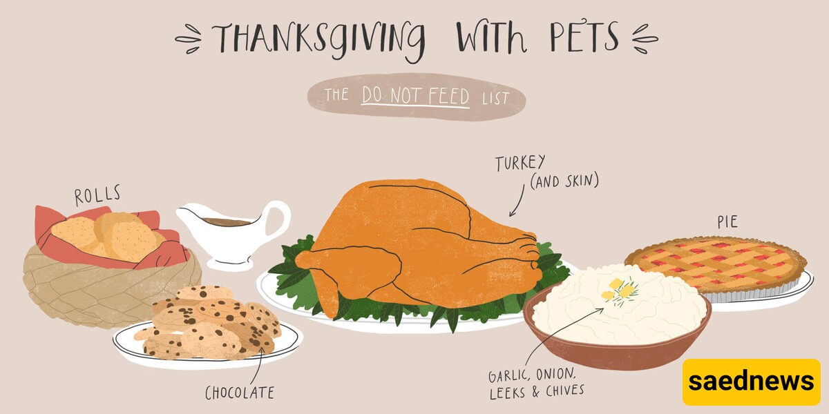 Dangerous Foods for Pets