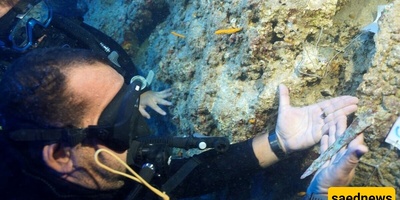 Discovery of a 3,600-Year-Old Dagger at a Depth of 50 Meters in the Mediterranean Sea + Photos
