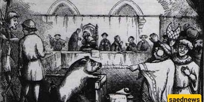 Animals That Were Sentenced to Death for Their Alleged Crimes