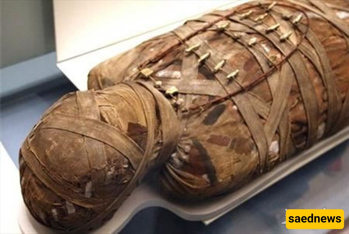 A 2,000-Year-Old Mummy with All Internal Organs Intact—Truly Incredible! + Photos
