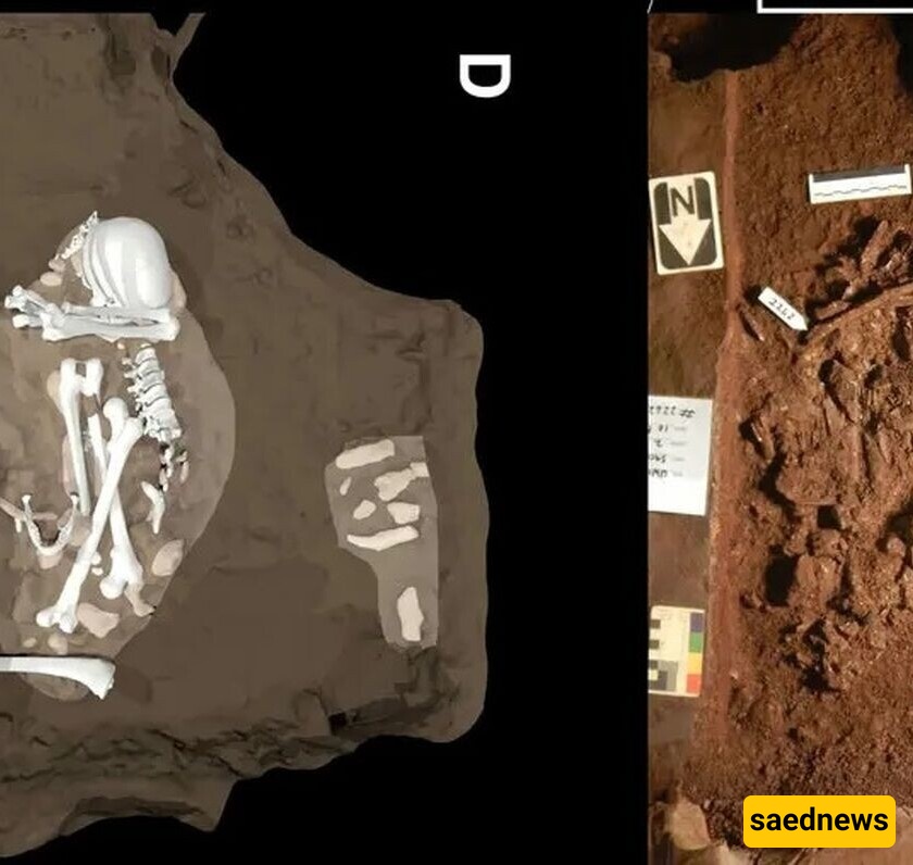 Stunning Images of the World's Oldest 'Grave,' Possibly Belonging to a Pre-Human Species