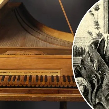 Who Invented Music for the First Time?!