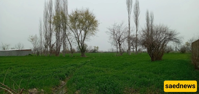 kordkuy