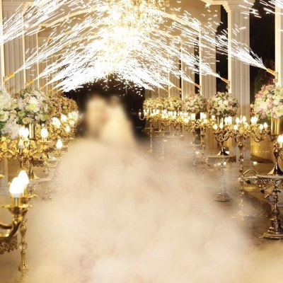 The Deadliest Weddings Ever Held!