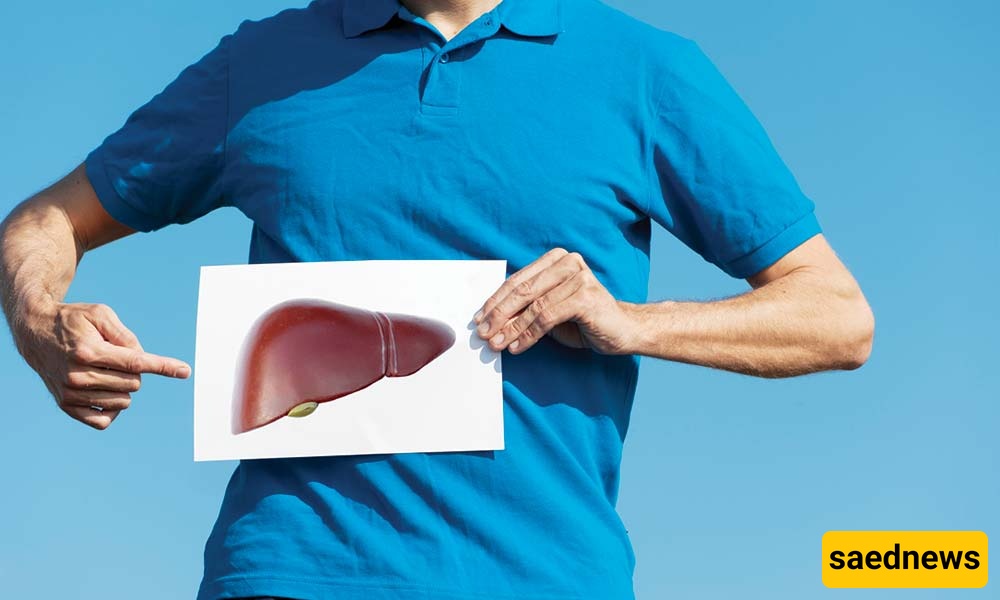liver