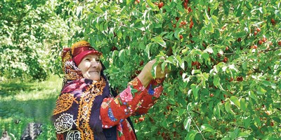 Introduction to the Cornelian Cherry (Zoghal Akhteh) Festival in Qazvin.