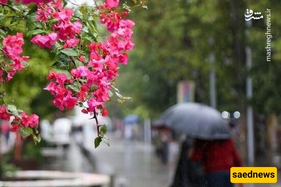Photo: Summer Farewell Under a Rainy Sky in Rasht