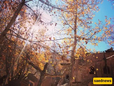 Qalat Village