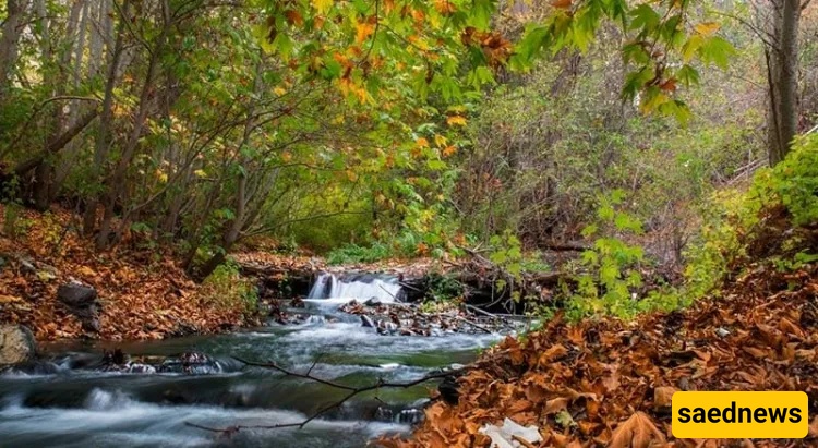 Torqabeh river