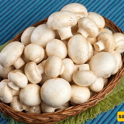 Simple Methods to Prevent Mushrooms from Turning Black