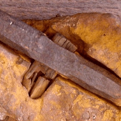 The Secret of the Hammer Discovered from the Dinosaur Era / So, Did Humans Live Alongside Dinosaurs Back Then?
