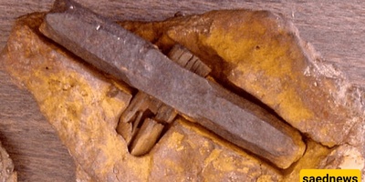 The Secret of the Hammer Discovered from the Dinosaur Era / So, Did Humans Live Alongside Dinosaurs Back Then?