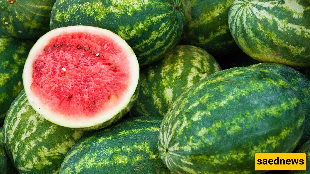 Watermelon