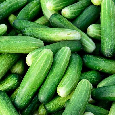 The Right Way to Store Cucumbers in the Refrigerator