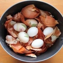 Onion Therapy for Women: A Natural 15-Day Method for Body Detox and Fertility Support