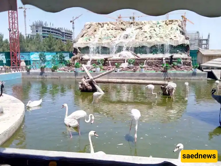  Mashhad Bird Garden