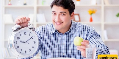 How Meal Timing Affects Energy and Focus Throughout the Day