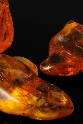 Everything About Amber Stone