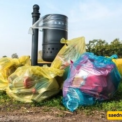 Meet the Billionaire Who Feeds on People’s Food Waste