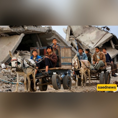 Israel’s Bizarre “Donkey Heist”: How Netanyahu’s Forces Hijacked Gaza’s Last Lifeline!