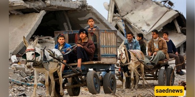 Israel’s Bizarre “Donkey Heist”: How Netanyahu’s Forces Hijacked Gaza’s Last Lifeline!