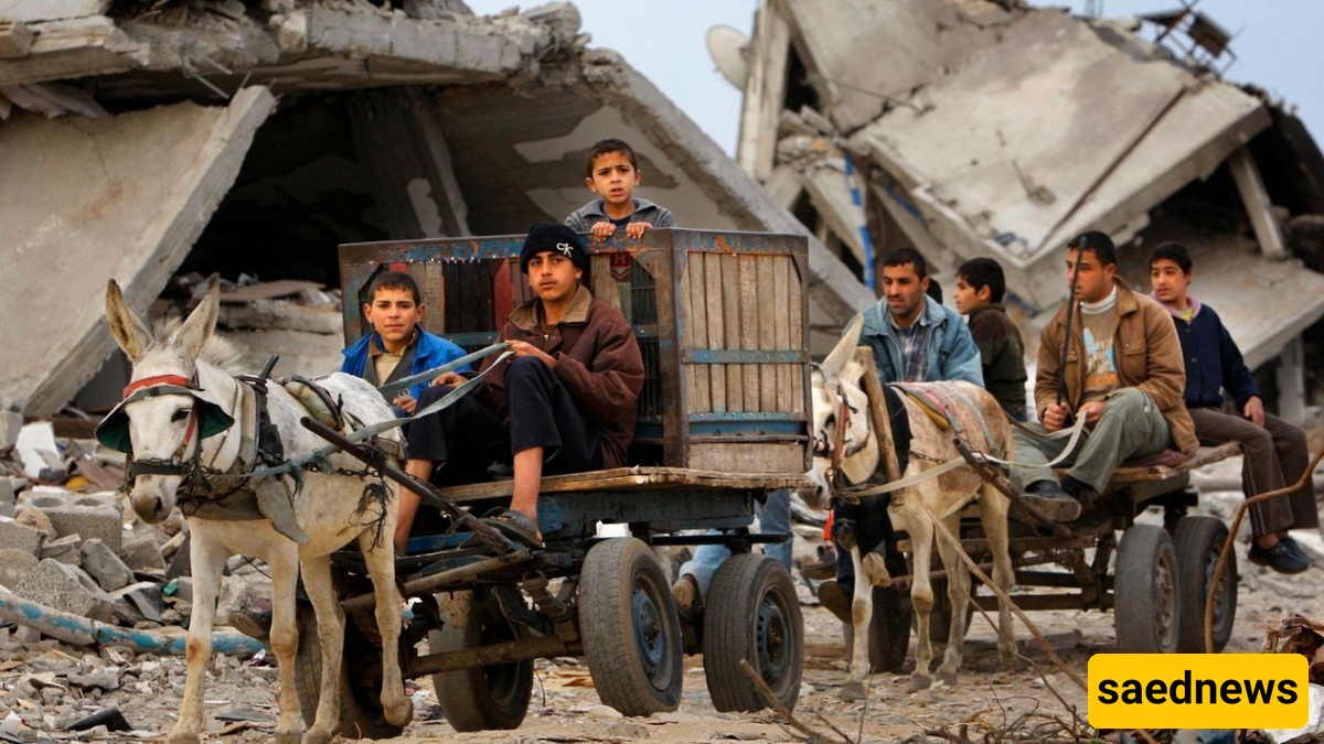 Israel’s Bizarre “Donkey Heist”: How Netanyahu’s Forces Hijacked Gaza’s Last Lifeline!