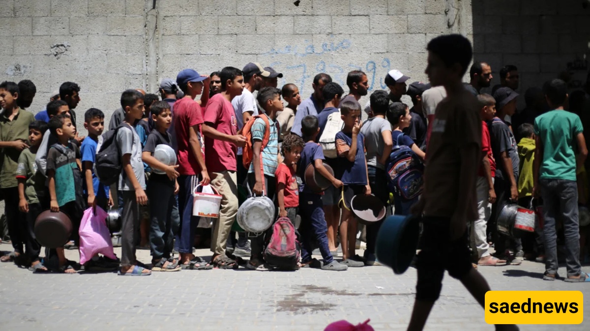 Genocide Unmasked: A Holocaust Scholar’s Damning Verdict on Gaza