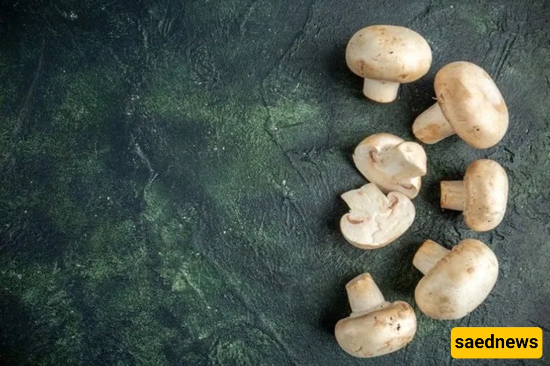 Mushrooms 