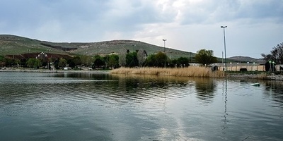 Exploring the Hidden Beauty of Niloofar Sarab Wetland in Kermanshah, Iran