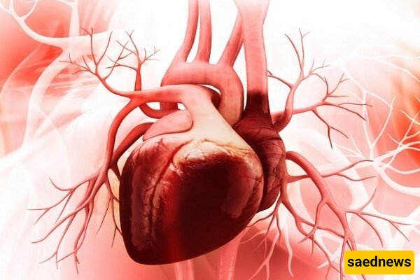 Artificial Intelligence Creates a 'Repairing' Heart: New Technology Heals Heart Damage Without Surgery