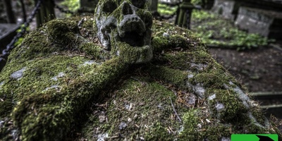 Terrifying Discovery: Ancient Cemetery Unearthed Beneath French Man’s Home [Photos]