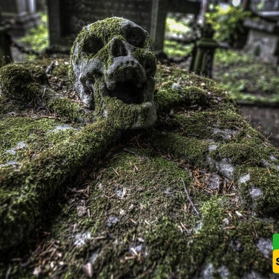Terrifying Discovery: Ancient Cemetery Unearthed Beneath French Man’s Home [Photos]