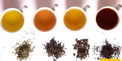 What Was Avicenna’s Remedy for Stomach Pain and Inflammation?