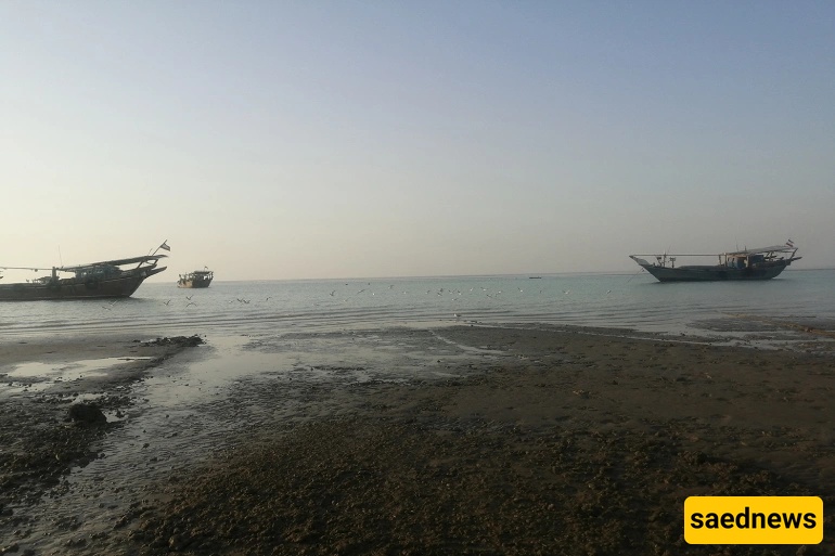 Sheef Island