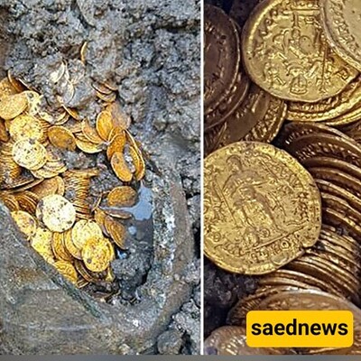 A stunning video of the moment 700 gold coins were discovered beneath a cornfield.