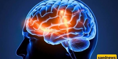 How Can We Prepare The Brain For Difficult Tasks?
