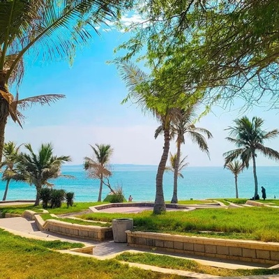 Complete Guide to Qeshm Olive Park: From Outstanding Facilities to Exciting Recreational Activities